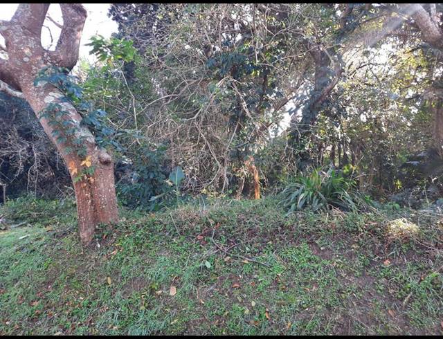 LAND FOR SALE IN PALM BEACH